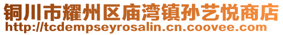 銅川市耀州區(qū)廟灣鎮(zhèn)孫藝悅商店