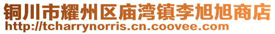 銅川市耀州區廟灣鎮李旭旭商店