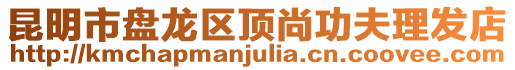 昆明市盤龍區頂尚功夫理發店