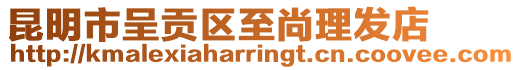 昆明市呈貢區(qū)至尚理發(fā)店