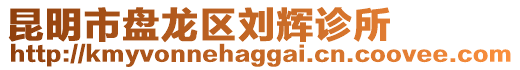 昆明市盤龍區劉輝診所