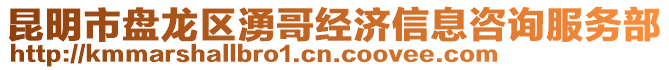 昆明市盤龍區湧哥經濟信息咨詢服務部