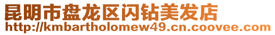 昆明市盤(pán)龍區(qū)閃鉆美發(fā)店