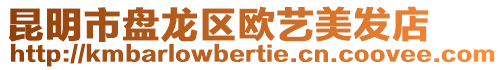 昆明市盤龍區歐藝美發店