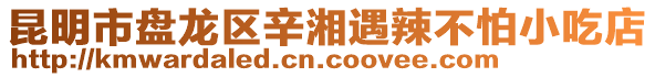 昆明市盤龍區(qū)辛湘遇辣不怕小吃店