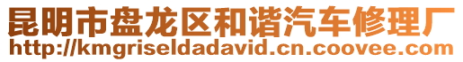 昆明市盤龍區和諧汽車修理廠