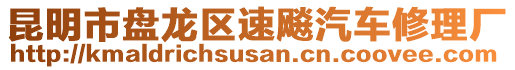 昆明市盤龍區(qū)速飚汽車修理廠