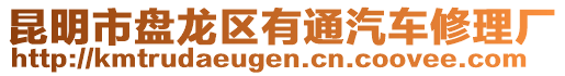 昆明市盤龍區(qū)有通汽車修理廠