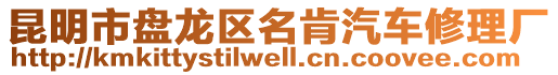 昆明市盤龍區(qū)名肯汽車修理廠