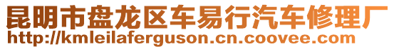 昆明市盤龍區(qū)車易行汽車修理廠