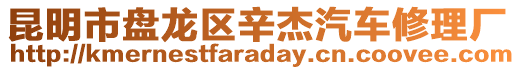 昆明市盤龍區(qū)辛杰汽車修理廠