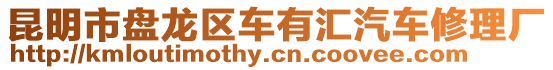 昆明市盤龍區車有匯汽車修理廠