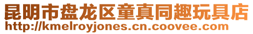 昆明市盤龍區童真同趣玩具店