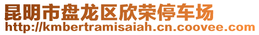 昆明市盤龍區(qū)欣榮停車場