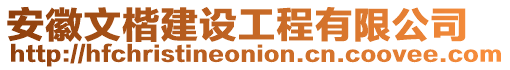 安徽文楷建設工程有限公司