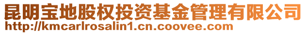 昆明寶地股權(quán)投資基金管理有限公司