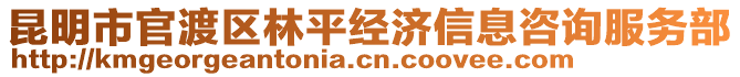 昆明市官渡区林平经济信息咨询服务部