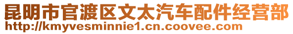 昆明市官渡区文太汽车配件经营部