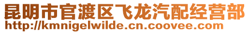 昆明市官渡區飛龍汽配經營部
