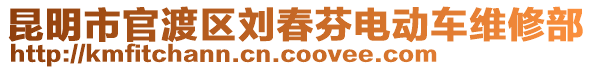 昆明市官渡區(qū)劉春芬電動車維修部