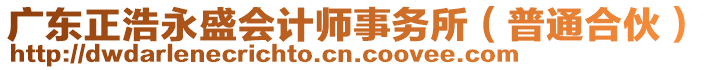 廣東正浩永盛會計師事務所（普通合伙）