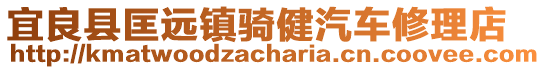 宜良縣匡遠(yuǎn)鎮(zhèn)騎健汽車修理店