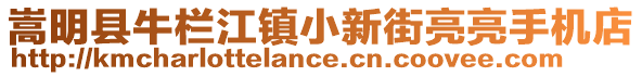 嵩明縣牛欄江鎮(zhèn)小新街亮亮手機(jī)店