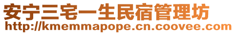 安寧三宅一生民宿管理坊