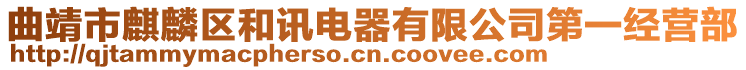 曲靖市麒麟?yún)^(qū)和訊電器有限公司第一經(jīng)營(yíng)部