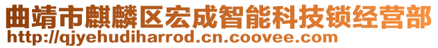 曲靖市麒麟?yún)^(qū)宏成智能科技鎖經(jīng)營部