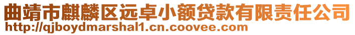 曲靖市麒麟?yún)^(qū)遠(yuǎn)卓小額貸款有限責(zé)任公司