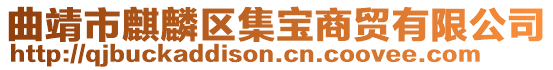 曲靖市麒麟區(qū)集寶商貿有限公司