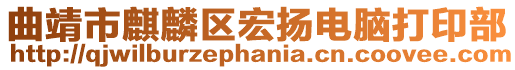 曲靖市麒麟?yún)^(qū)宏揚(yáng)電腦打印部
