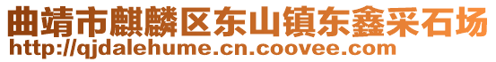 曲靖市麒麟區東山鎮東鑫采石場