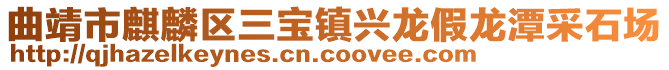 曲靖市麒麟?yún)^(qū)三寶鎮(zhèn)興龍假龍?zhí)恫墒瘓?chǎng)