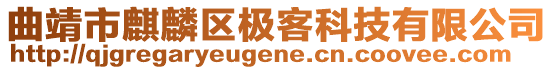 曲靖市麒麟?yún)^(qū)極客科技有限公司