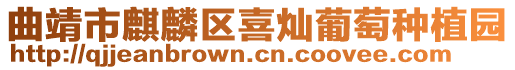 曲靖市麒麟?yún)^(qū)喜燦葡萄種植園