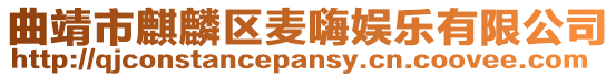 曲靖市麒麟?yún)^(qū)麥嗨娛樂有限公司