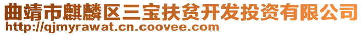 曲靖市麒麟?yún)^(qū)三寶扶貧開發(fā)投資有限公司