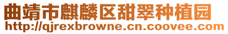 曲靖市麒麟區甜翠種植園