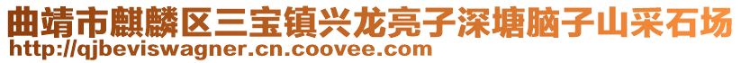 曲靖市麒麟?yún)^(qū)三寶鎮(zhèn)興龍亮子深塘腦子山采石場