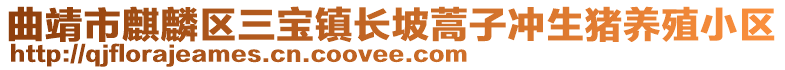 曲靖市麒麟?yún)^(qū)三寶鎮(zhèn)長(zhǎng)坡蒿子沖生豬養(yǎng)殖小區(qū)