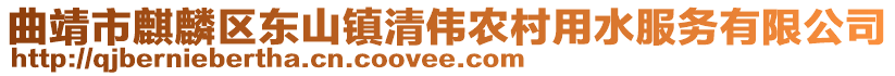 曲靖市麒麟区东山镇清伟农村用水服务有限公司