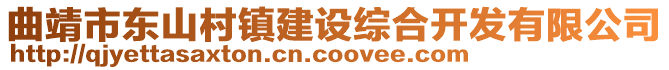 曲靖市東山村鎮(zhèn)建設(shè)綜合開發(fā)有限公司