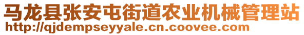 马龙县张安屯街道农业机械管理站