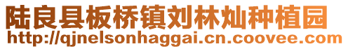 陆良县板桥镇刘林灿种植园