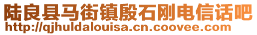 陆良县马街镇殷石刚电信话吧