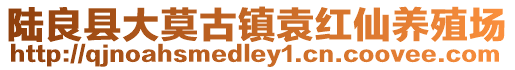 陸良縣大莫古鎮袁紅仙養殖場
