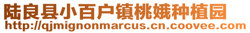 陸良縣小百戶鎮桃娥種植園