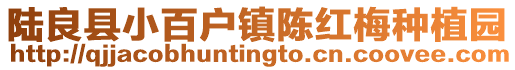 陸良縣小百戶鎮(zhèn)陳紅梅種植園